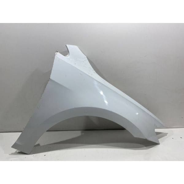 Paralama Direito Golf 2014 2015 2016 2017 2018 2019